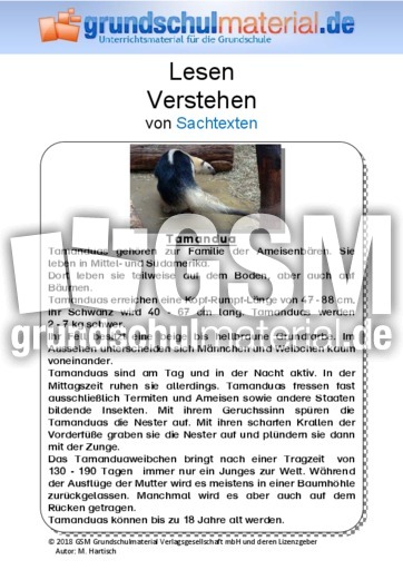 Tamandua - Sachtext.pdf